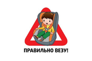 Правила дорожные знать каждому положено Правила дорожные знать каждому положено.